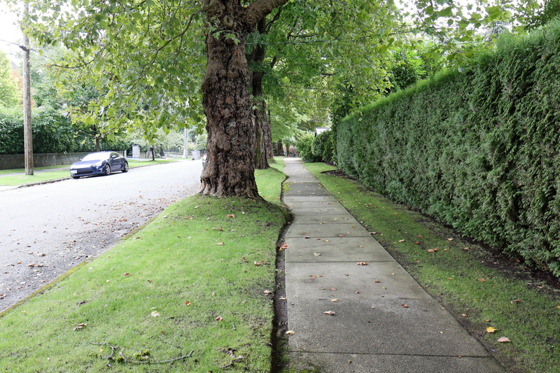 Illustration for article titled Pics from the Curbside: 2018-09-23 to Shaughnessy